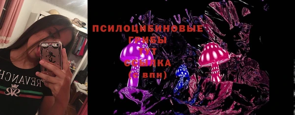 индика Осинники