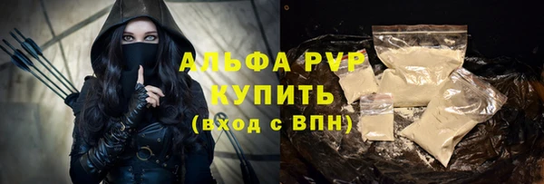 индика Осинники