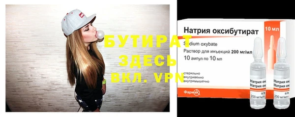 индика Осинники