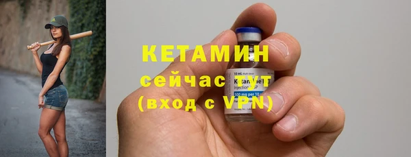 индика Осинники