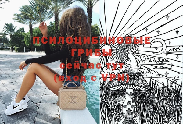 СК Абинск