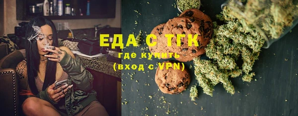 индика Осинники