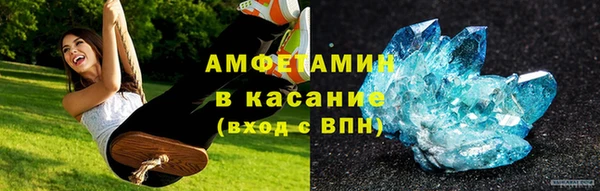 индика Осинники