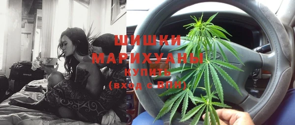индика Осинники